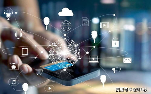 杭州詮網科技分析 泛解析對SEO優化的利與弊